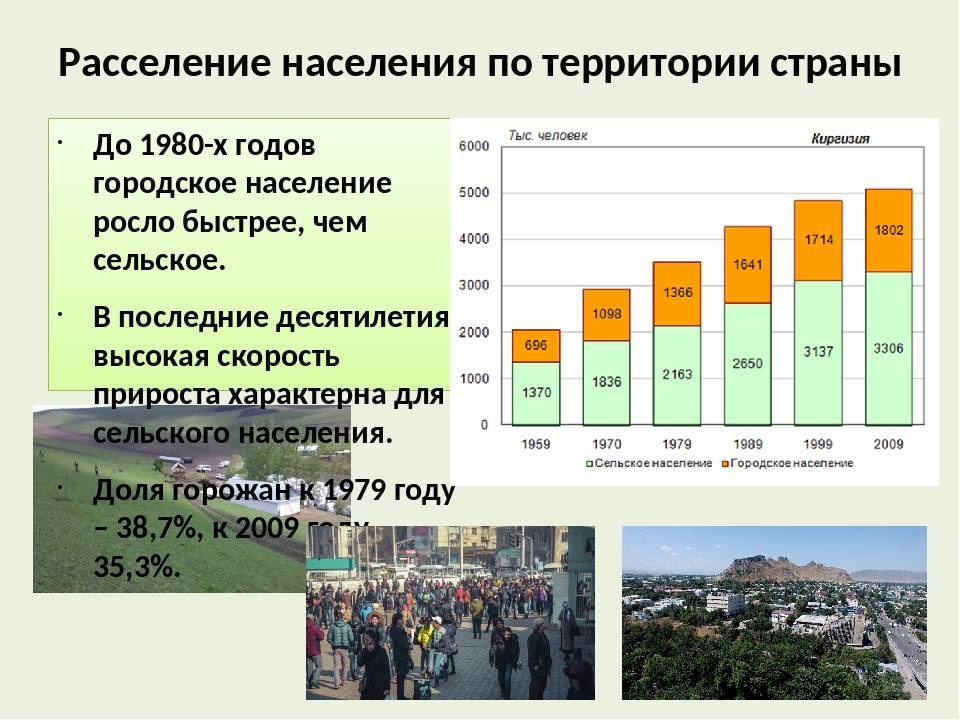 Население карелии: динамика, численность и этнический состав :: syl.ru