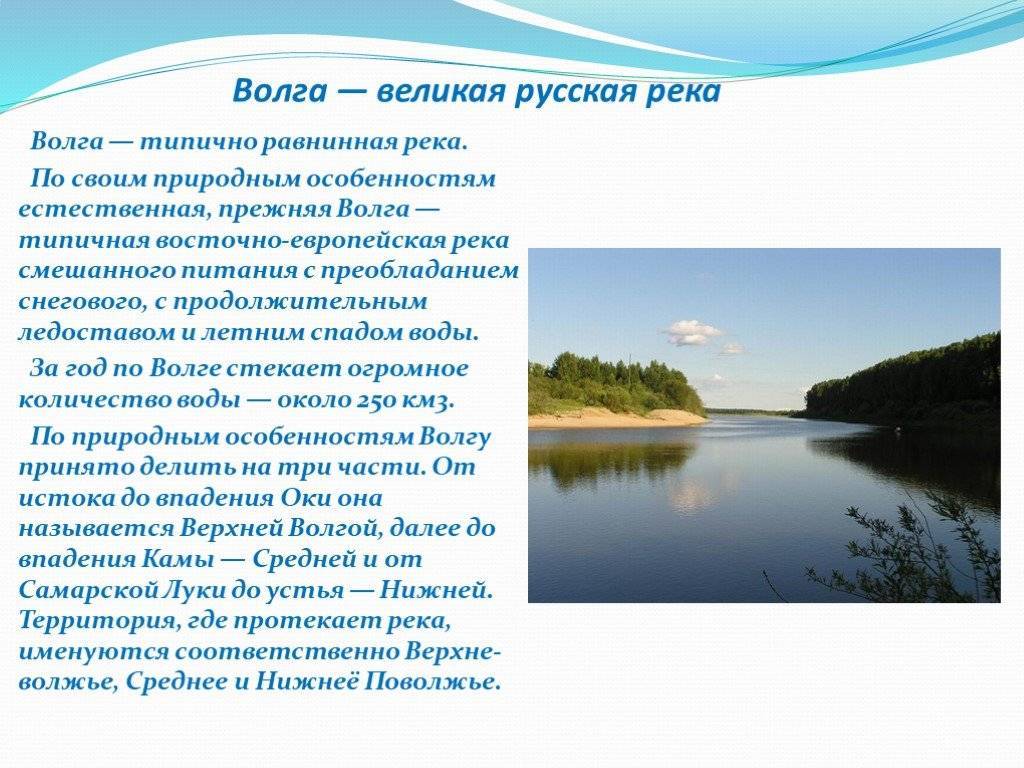 Вологда — река в россии: описание, природный мир, интересные факты