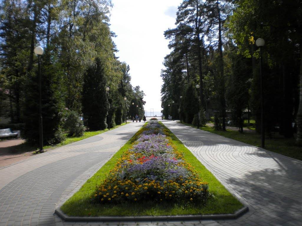 Ленинградская область, зеленогорск: достопримечательности, интересные места, что стоит посмотреть