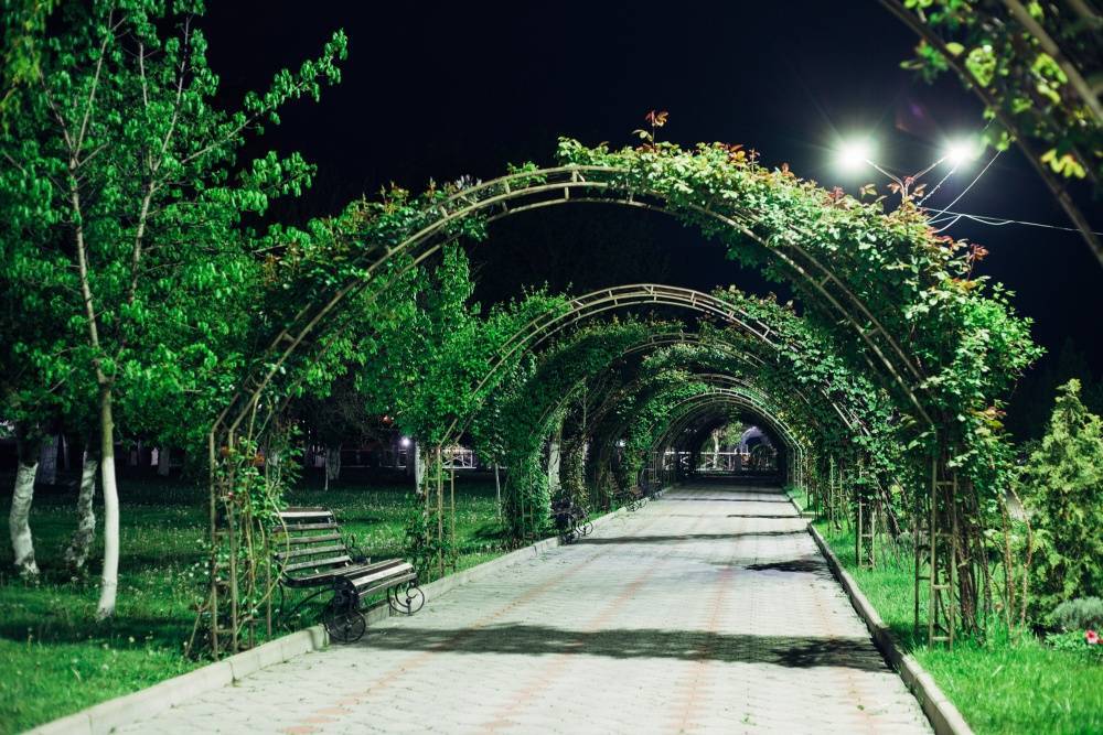 Фото и описание самых красивых мест краснодара
