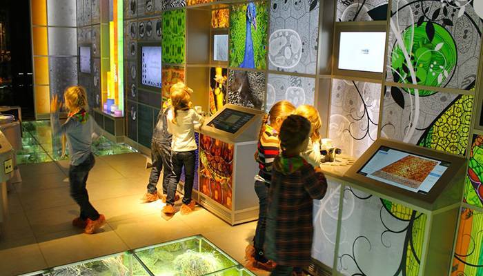 Музеи санкт-петербурга для детей