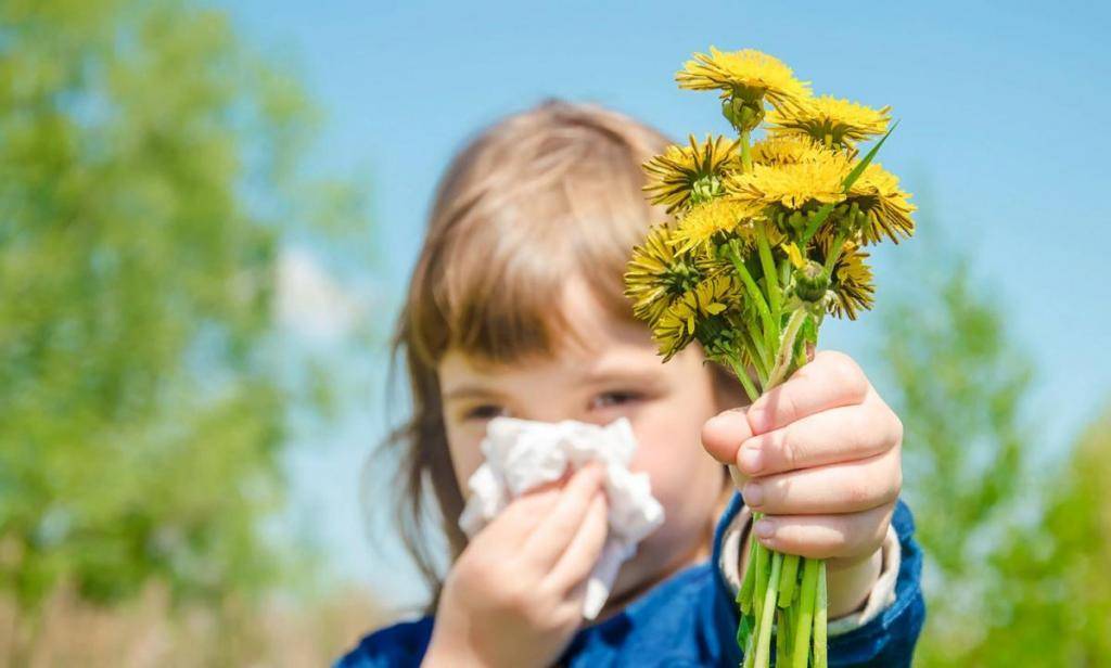 Методы лечения сезонной аллергии. какие факторы влияют на аллергию? как правильно лечить сезонную аллергию?