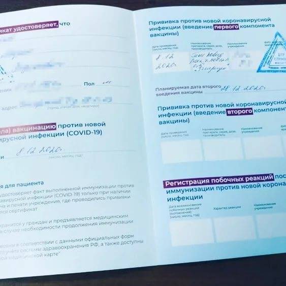 Как в июле 2021 попасть в чехию из россии – правила въезда, нужен ли сертификат о вакцинации или пцр-тест на ковид