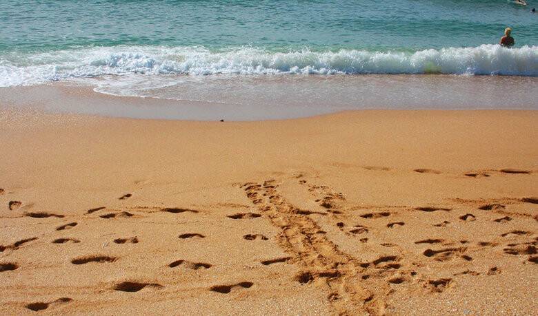 Песчаные пляжи краснодарского края — 30 лучших для отдыха