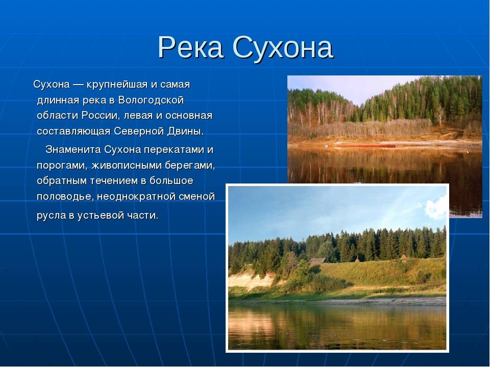 Вологда - река в россии: описание, природный мир, интересные факты