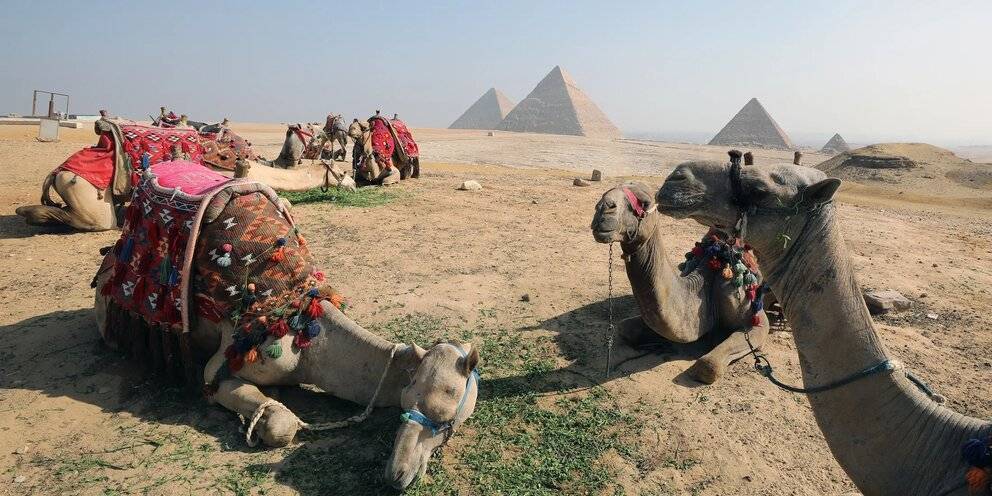 Коронавирус в египте 2020: последние новости, где обнаружен, стоит ли ехать туристу