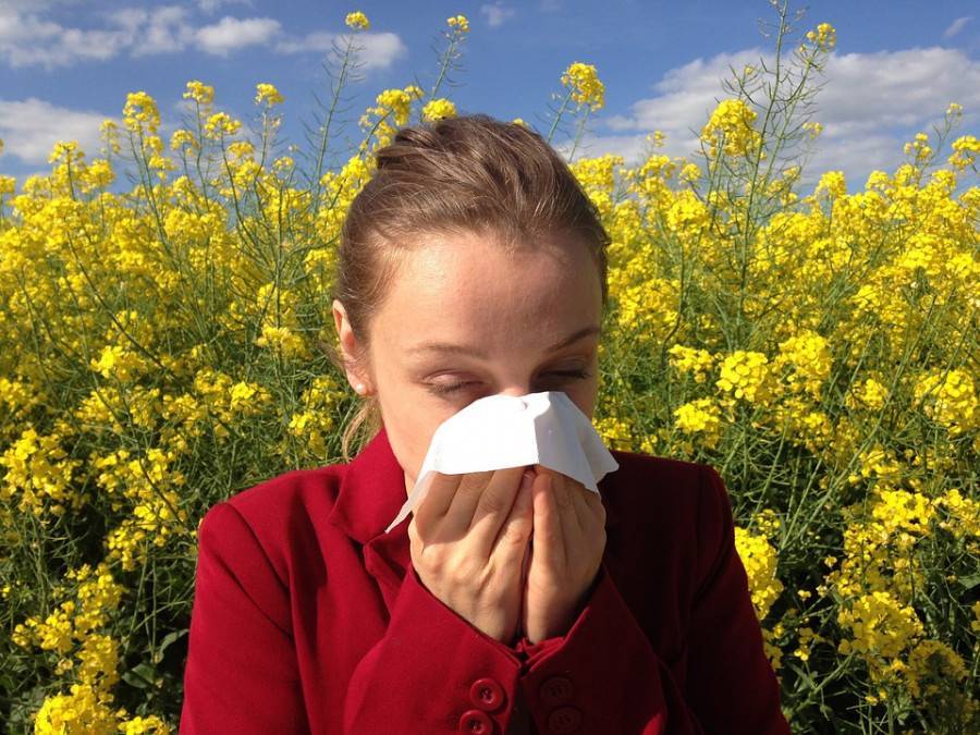 Санатории лечащие аллергию