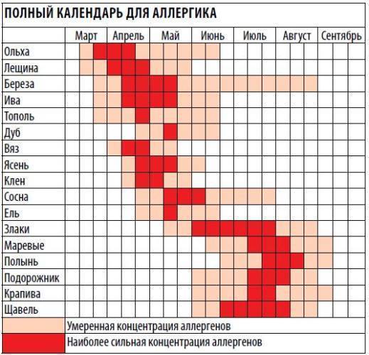 7 лучших санаториев для детей аллергиков и астматиков в россии