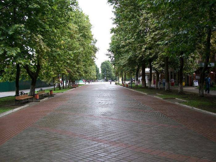 Обзор достопримечательностей города славянска-на-кубани