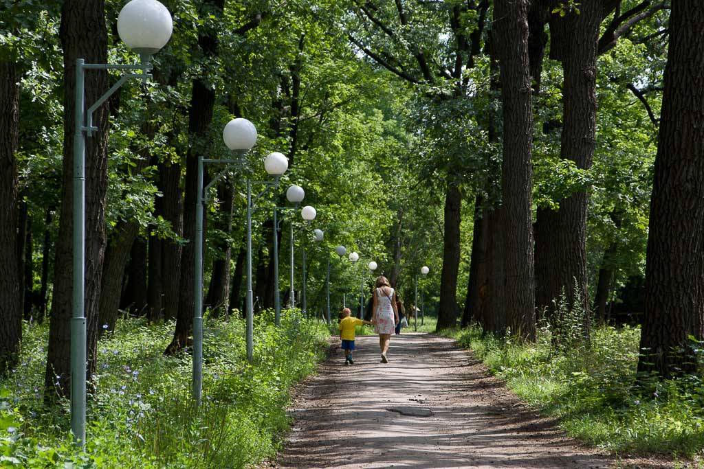 Парк екатерингоф на нарвской – один из старейших парков санкт-петербурга, любимое место отдыха горожан