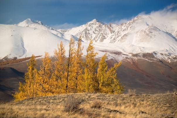 Алтайские горы: описание, где находятся, легенды, интересные факты