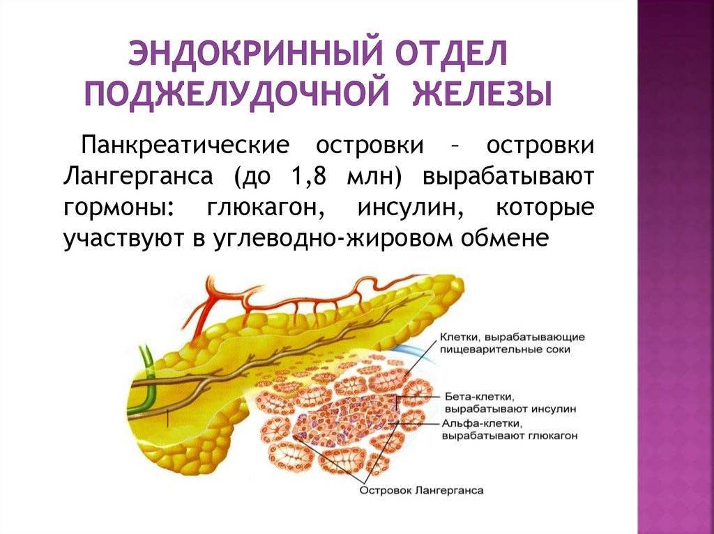 Курорты для лечения поджелудочной железы в россии - туристический блог ласус