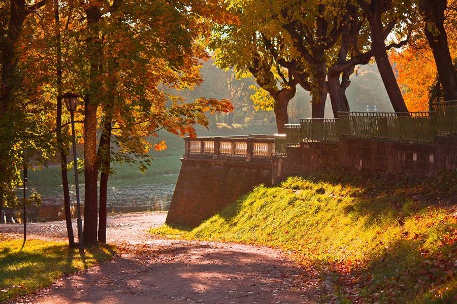 Что посмотреть в питере в октябре: топ-10 мест, которые стоит посмотреть осенью