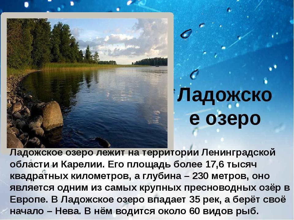 Vologda is a river in russia: a description, a natural world, interesting facts