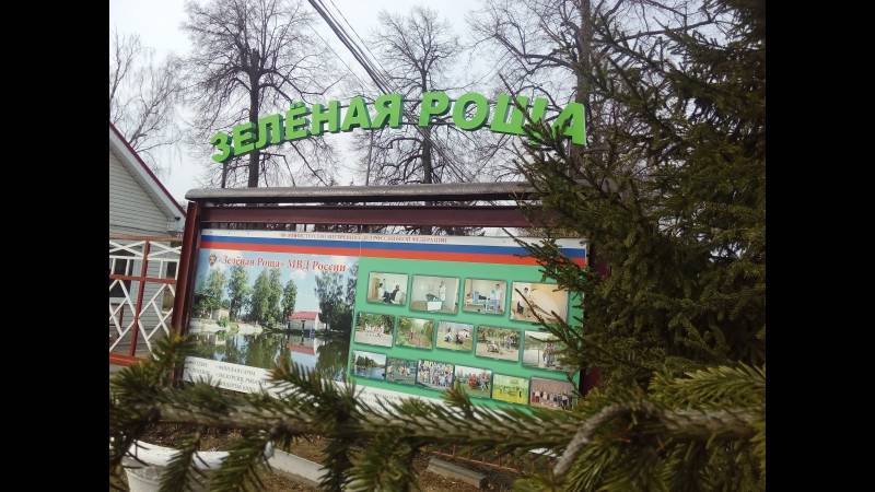 Зеленая роща | турист в россии