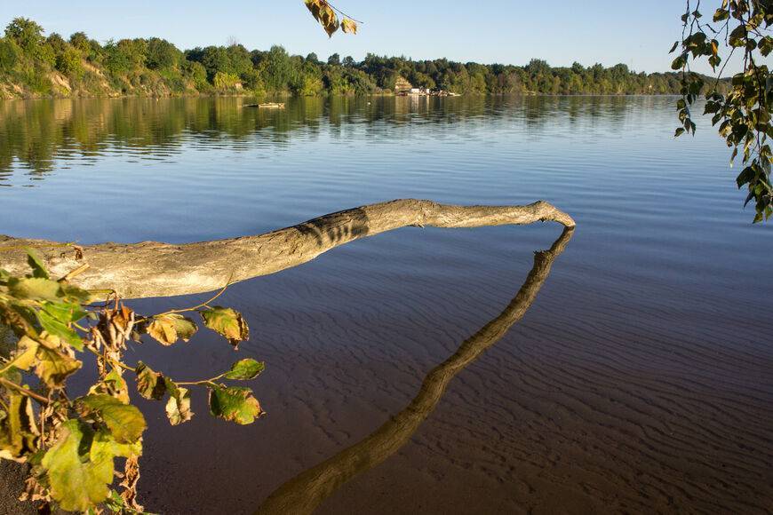 Синявинское (янтарное) озеро в калининградской области