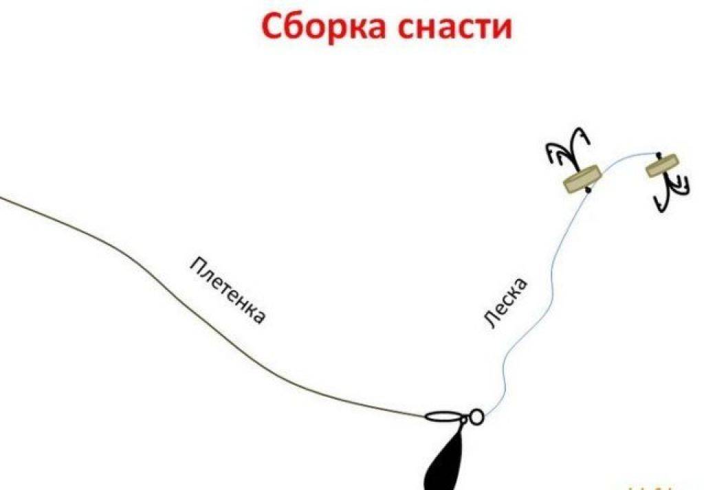 Донка на судака: оснастка снасти и техника ловли хищника с берега