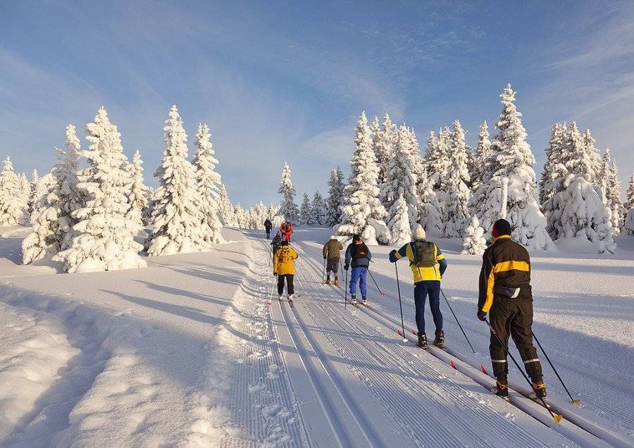 Лучшие горнолыжные курорты для семейного отдыха с детьми в европе и россии