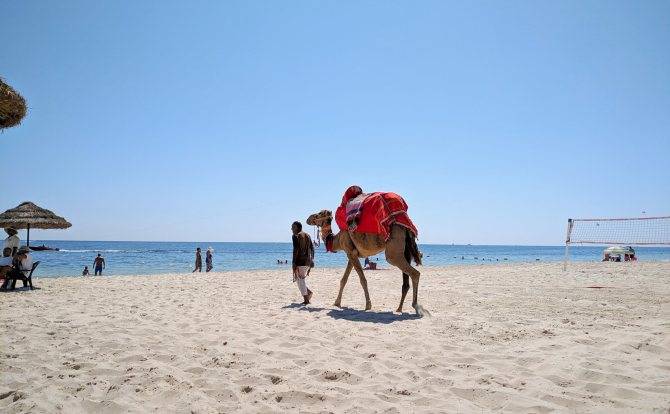 Update 16 октября. коронавирус в тунисе – правила для туристов