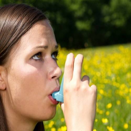 Где лучше жить в россии с бронхиальной астмой?