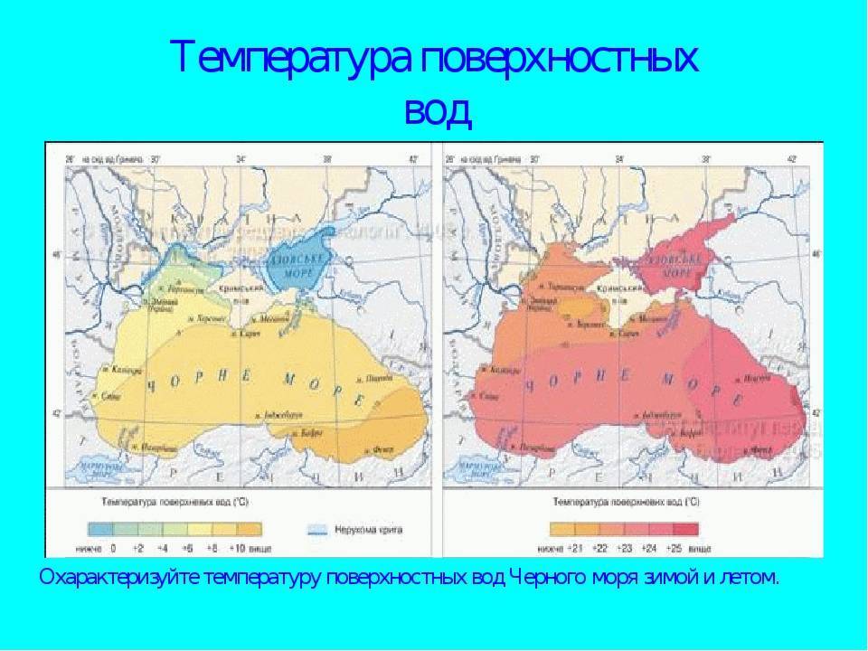 Температура воды в черном море – сегодня, сейчас, по месяцам
