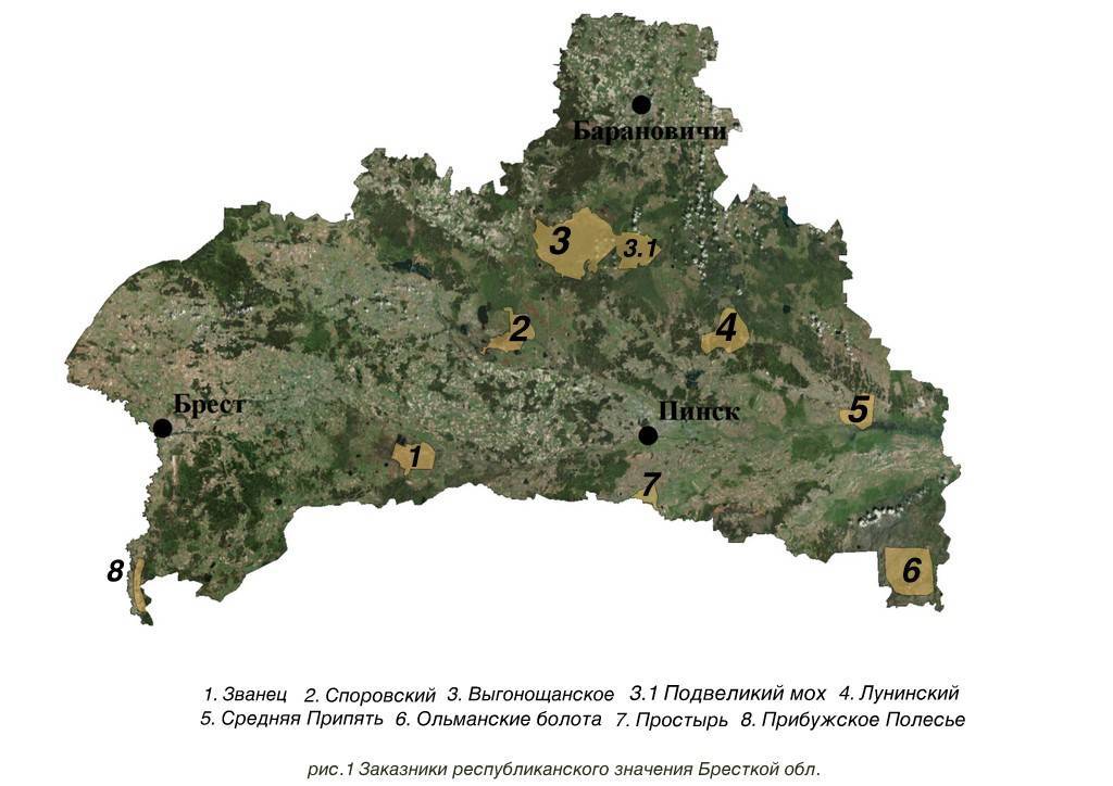 Об особо охраняемых природных территориях в брянской области (с изменениями на 4 мая 2016 года)
