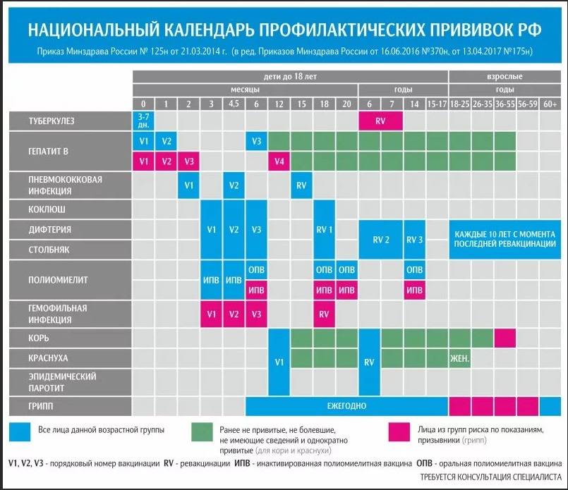 Где провести летний отпуск: 7 вариантов для вакцинированных россиян
