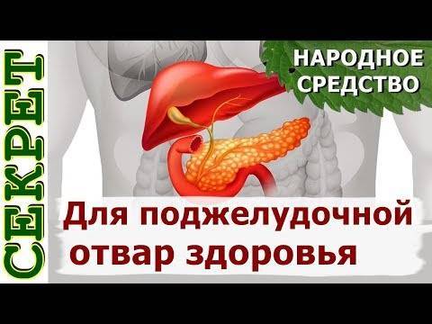 Курорты для лечения поджелудочной железы в россии