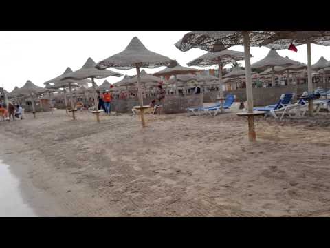 Памятка туристам рф при выезде в египет