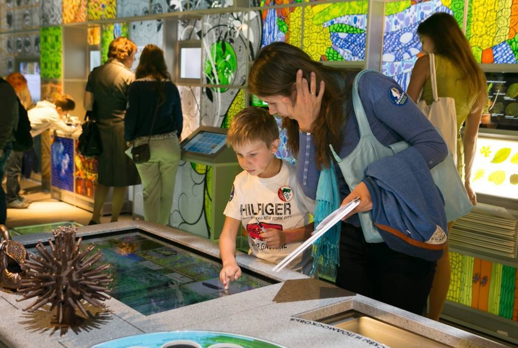 Интерактивные музеи в санкт-петербурге. для детей интерактивных музеев