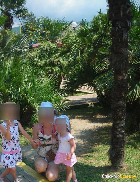 Куда сходить в лазаревском с детьми: развлечения и пляжи