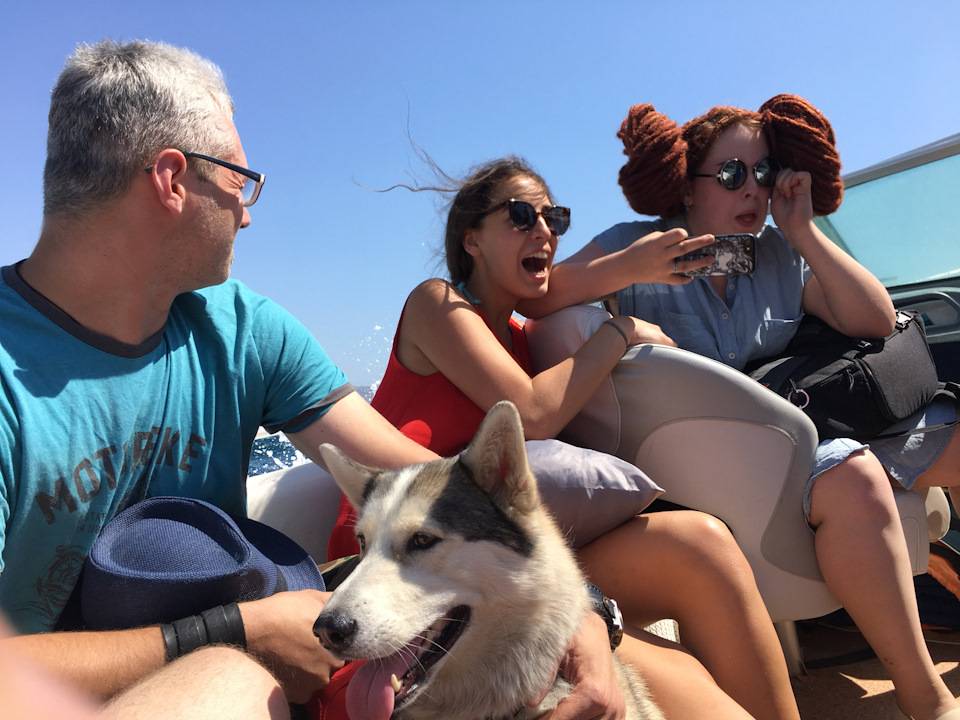 Где отдохнуть в россии с собакой? - туристический блог ласус