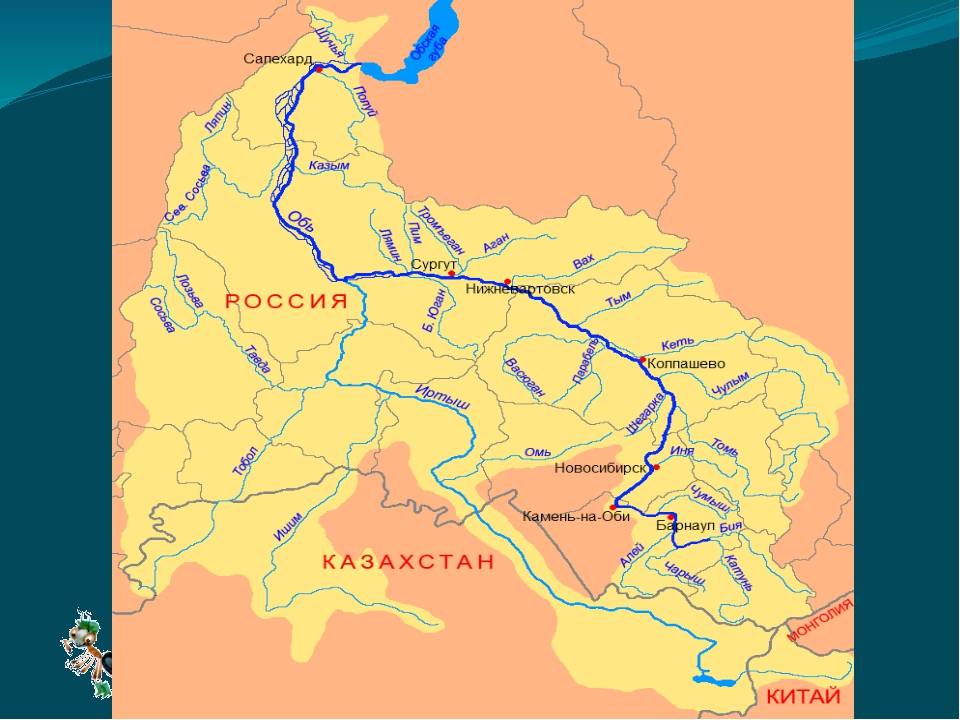 Реки сибири — список, фото, описание и карта крупнейших рек и их притоков — природа мира