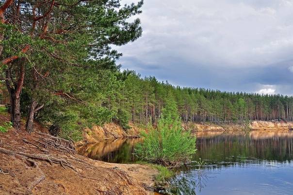 Идеи для отдыха в россии: 8 мест в липецкой области, которые удивят даже бывалых путешественников