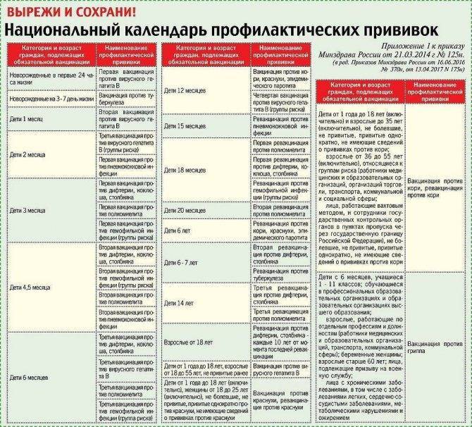 Какие страны не требуют от россиян сертификат о вакцинации в 2021 году