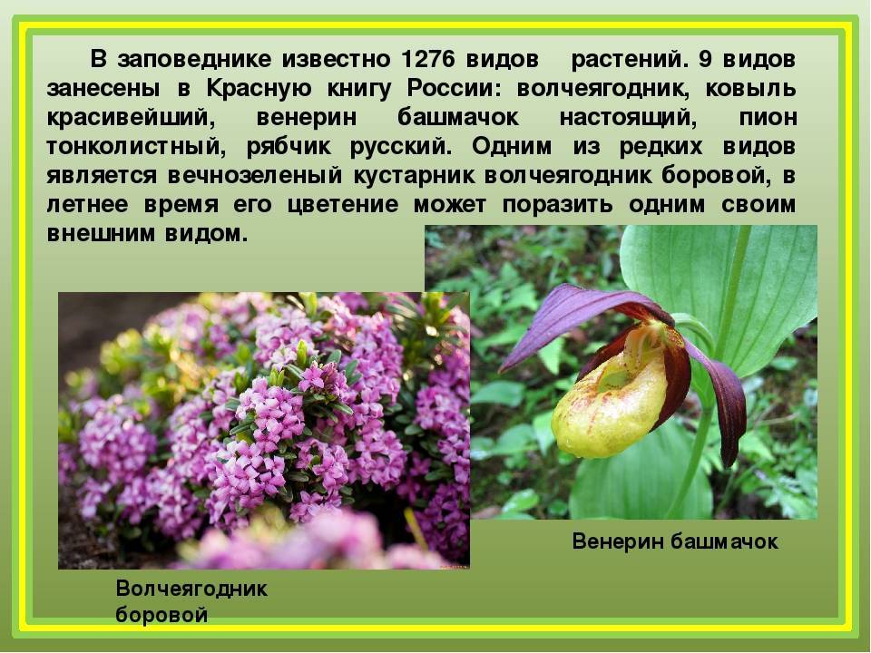 Объекты природно-заповедного фонда. курская область