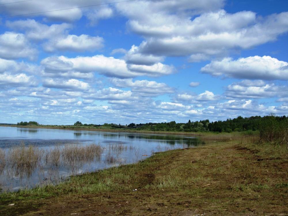 Река мезень: описание, исток, притоки, животный мир и интересные факты