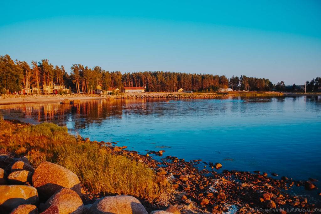 Курорты финского залива россия