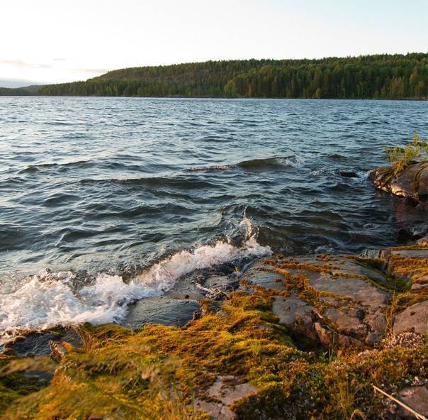 24 достопримечательности онежского озера, которые стоит посмотреть