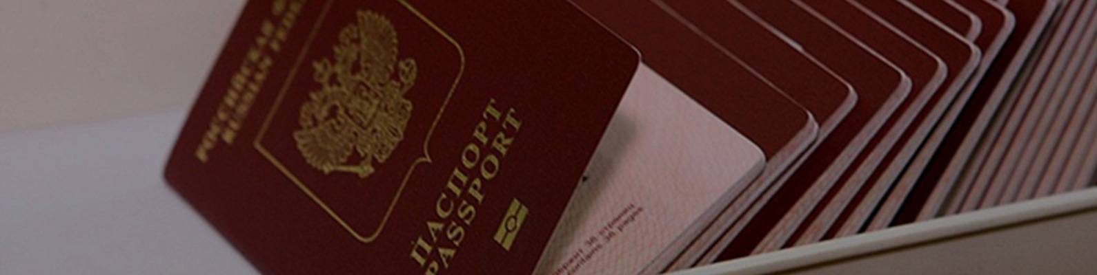 Как приехать в россию из украины: новые правила въезда, нужна ли виза, можно ли пересечь границу с рф в условиях пандемии