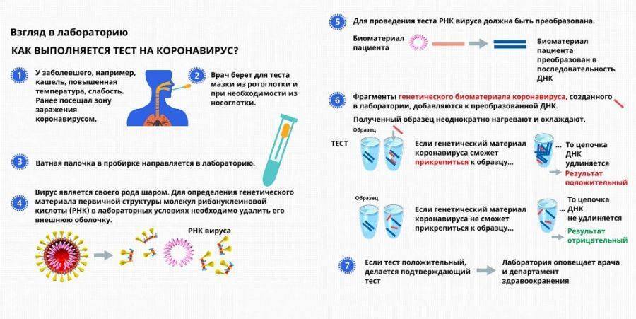 Нужна ли прививка от коронавируса для посещения абхазии. разъяснение вопроса относительно необходимости вакцинации россиян после возвращения с территории абхазии обратно в россию летом 2021 года. коронавирус covid–19 |