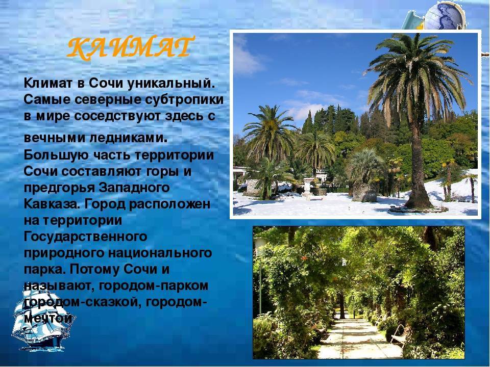Лечение климатом на российских курортах: как лес, горы и море способствуют оздоровлению организма?