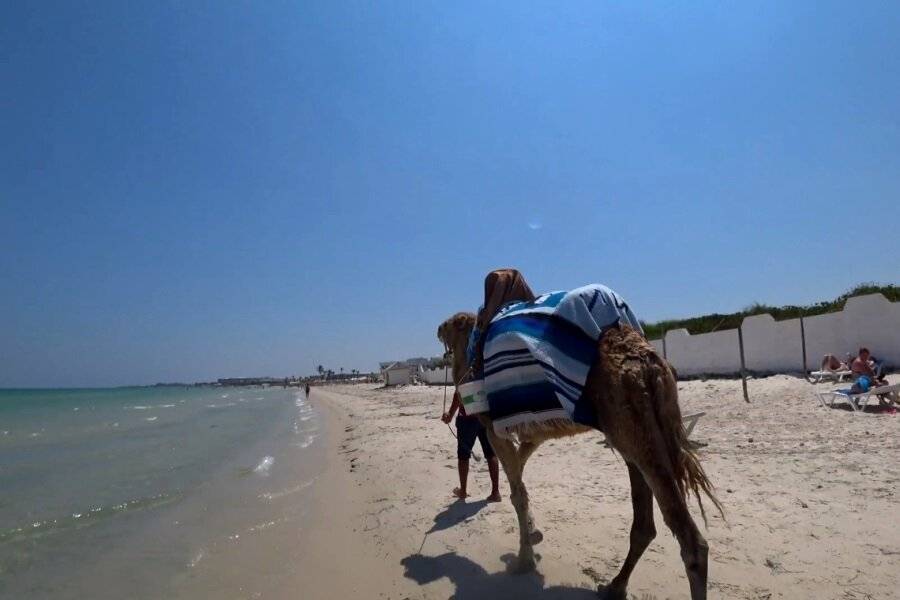 Коронавирус в тунисе – правила для туристов