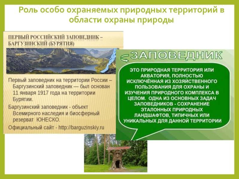 Об особо охраняемых природных территориях в брянской области (с изменениями на 4 мая 2016 года)