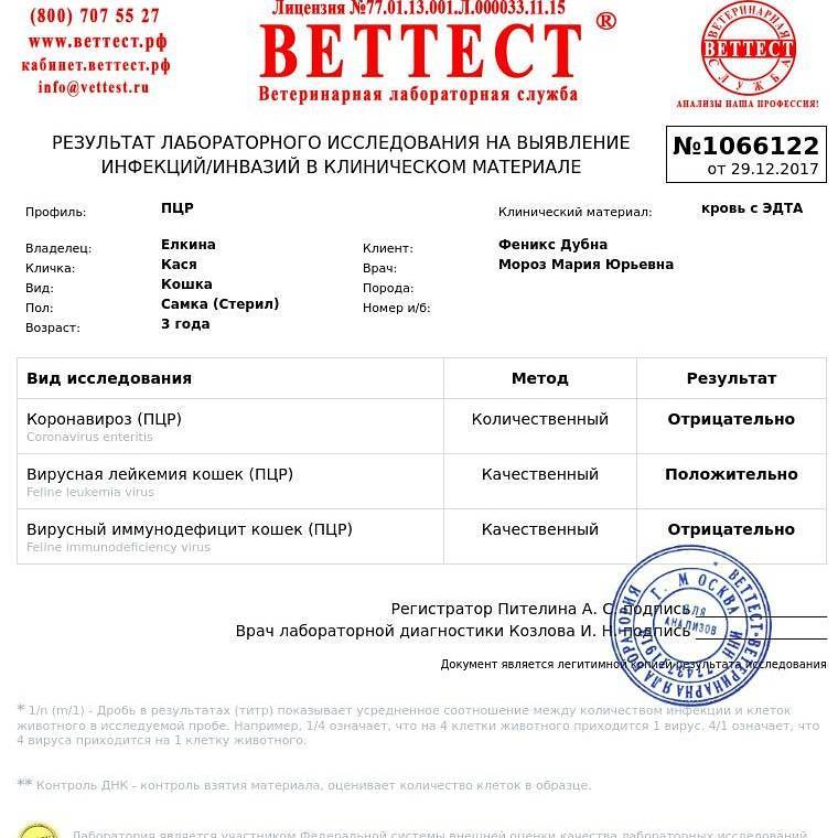 Требования к сертификату (справке) с результатами пцр-теста для вылетающих за границу | pegasfly