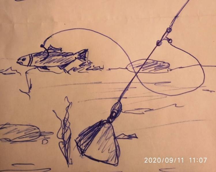 Как ловить судака на донку своими руками: особенности изготовления снастей и время рыбалки на донную удочку